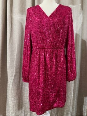 Fuchsia Sequin Dress